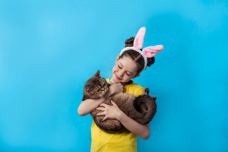 Beautiful little girl in a yellow t-shirt with rabbit ears holds a british cat on a blue backgroundの写真素材