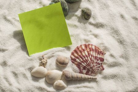 Set of seashells on the sand. There is a sheet for additional inscriptionsの写真素材