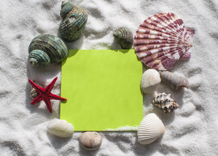 Set of seashells on the sand. There is a sheet for additional inscriptionsの写真素材