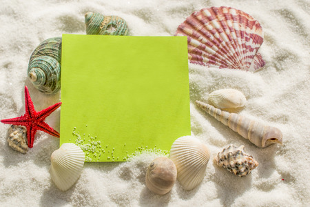 Set of seashells on the sand. There is a sheet for additional inscriptionsの写真素材