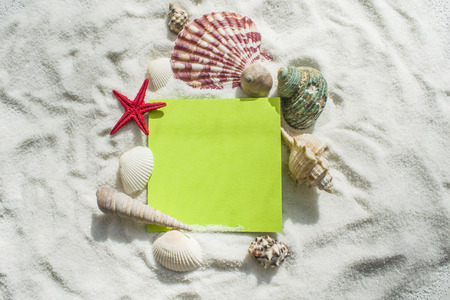 Set of seashells on the sand. There is a sheet for additional inscriptionsの写真素材