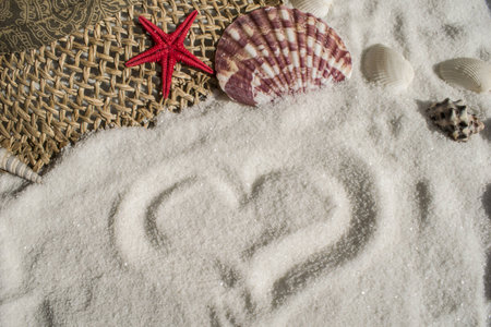 Set shells on sand summer beach hatの写真素材