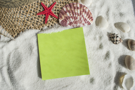 Set of seashells on the sand. There is a sheet for additional inscriptionsの写真素材