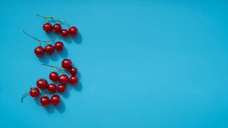 An overhead shot of delicious, mouth-watering ripe berries for eating or making desserts. Slices of fresh currants on a blue background. Healthy food. Copy spaseの写真素材
