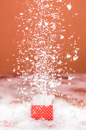 Living coral gift on the background with snow. Festive concept. Valentine's Day, New Year, Christmas, March 8, Mother's Day.の写真素材