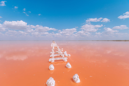 Living coral lake stairs.の写真素材