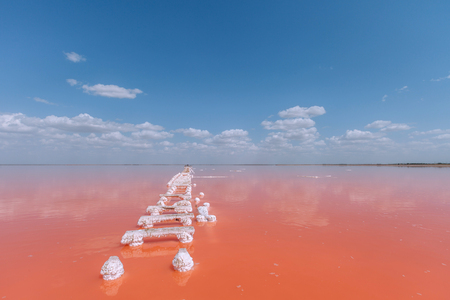 Living coral lake stairs.の写真素材