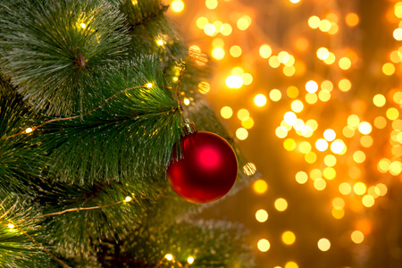 Christmas tree on the background of blurry lights of Christmas garland.の写真素材