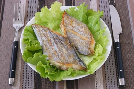 Fried swordfish on lettuceの写真素材