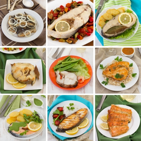 fish collageの写真素材