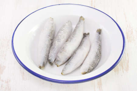 frozen sardines on white dish on white backgroundの写真素材