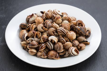 boiled snails on white plate on ceramic backgroundの写真素材