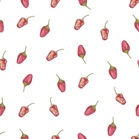 Pattern peppers piri-piri, watercolor sketchの写真素材