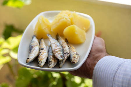 fried sardines with boiled potato on white dishの写真素材