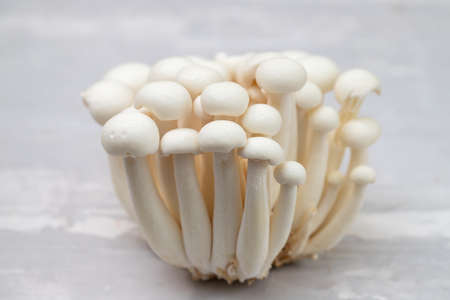 small white edible mushrooms shimeji on dark grey ceramic backgroundの写真素材