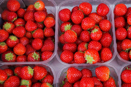 garden strawberry a lot of ripe, juicy berries in plastic boxes on the market. macro, backgroundの写真素材