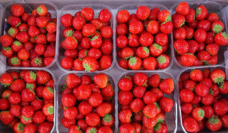 garden strawberry a lot of ripe, juicy berries in plastic boxes on the market. macro, backgroundの写真素材