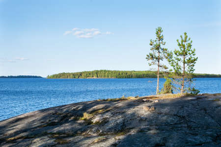 lake and pine trees on a sunny summer day. landscape. Karelia Ladoga lake. panorama.Nature of the northの写真素材