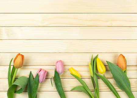 Tulips on a wooden background with copy space