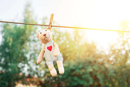 Teddy bear hanging on a clothesline and drying in the sunの写真素材