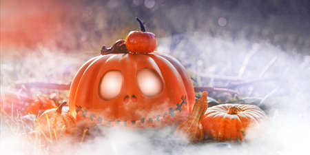 Pumpkin head Jack-o-lantern close-up and orange autumn pumpkins, still life in nature in the sunlight glare, background for Halloweenの写真素材