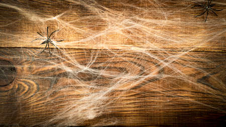 Wooden background covered with spider webs with black spiders and copy space, halloween holiday conceptの写真素材