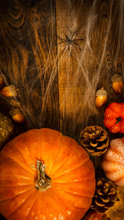 Different small pumpkins, cones, acorns and spider web with spiders on a wooden background with copy space top view, background for the holiday Halloweenの写真素材