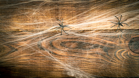 Wooden background covered with spider webs with black spiders and copy space, halloween holiday conceptの写真素材
