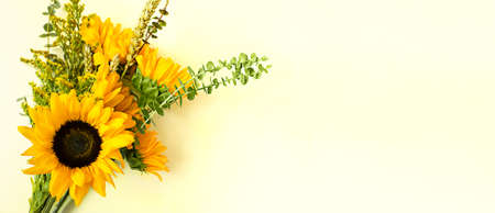 A bouquet of yellow flowers of sunflowers on a gentle light yellow background with copy space, banner.の写真素材