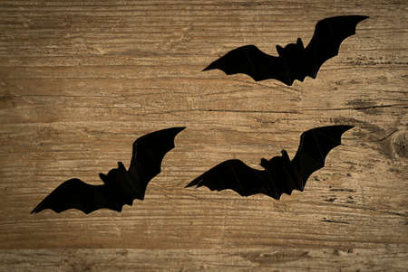 Big and small black bats on a gray wooden background with copy spaceの写真素材