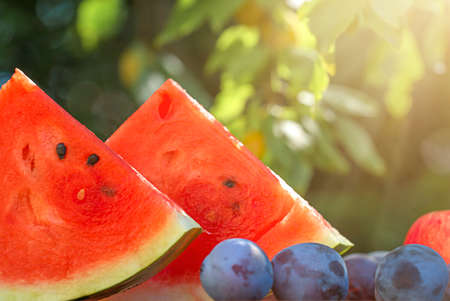Fresh garden fruits close-up on the table in the garden front viewの写真素材