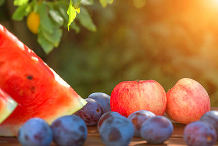 Fresh garden fruits close-up on the table in the garden front viewの写真素材