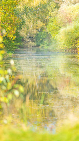 Abstract Blurred natural forest background with pondの写真素材