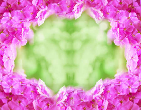 Spring banner with blooming flowers and copy spaceの写真素材