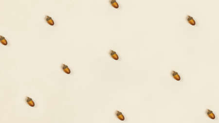 Minimalistic photo painting pattern with acorns in trendy brown - beige color with an autumn motifの写真素材