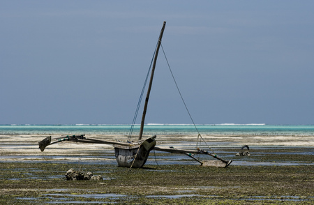 Low tide at Zanzibarの写真素材