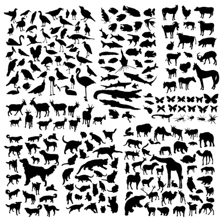 Big animals silhouettes setのイラスト素材