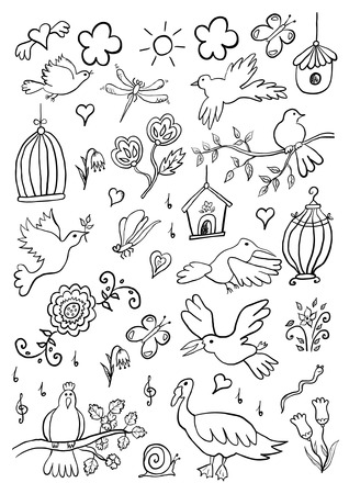 Hand Drawn Cartoon Birds Setのイラスト素材