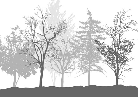 Silhouettes of trees in the forestのイラスト素材