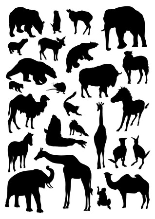 Wild animals setのイラスト素材