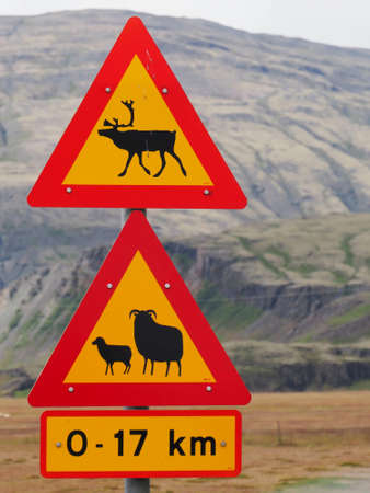 Beware of reindeers and sheeps route sign in Iceland interior. Photo taken in July 2019 on the route on the north of Iceland.のeditorial素材