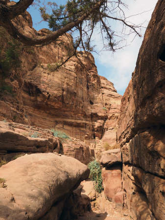 Dry canyon in summer.の写真素材