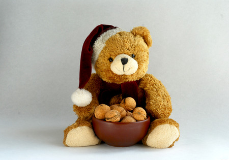 teddy bearの写真素材