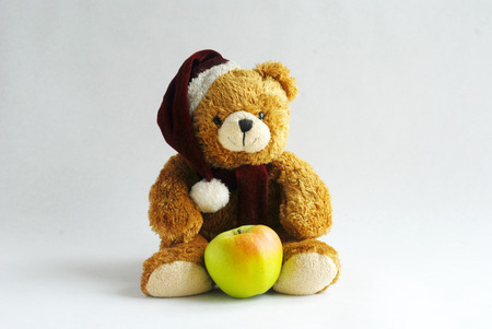 teddy bearの写真素材