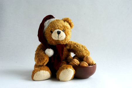 teddy bearの写真素材