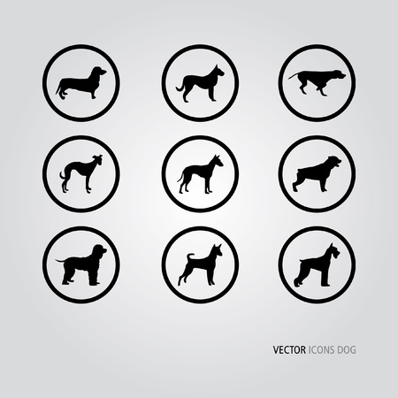 Dog Icons Vector Background Black and whiteのイラスト素材