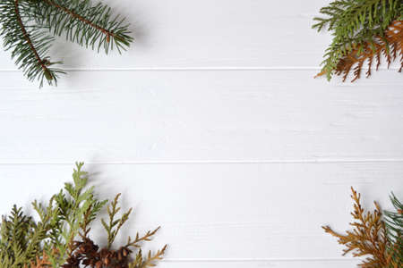 Conifer. Natural background. Conifefer background. Christmas background. Evergreen branches. Card....