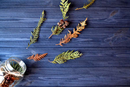 Flat lay background with branches of fir-tree. Dark blue wooden background with natural elements of decor.の写真素材