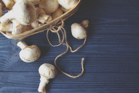 Mushrooms on the dark blue wooden desk. Cooking champignons.の写真素材