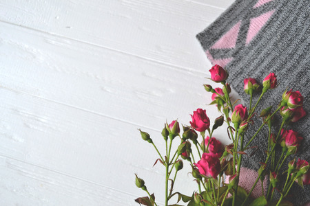 Roses and knitted sweater on the white wooden background. Romantic background with space for text.